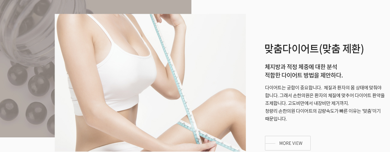 맞춤다이어트(맞춤 제환) — 체지방과 적정 체중에 대한 분석. 적합한 다이어트 방법을 제안하다.