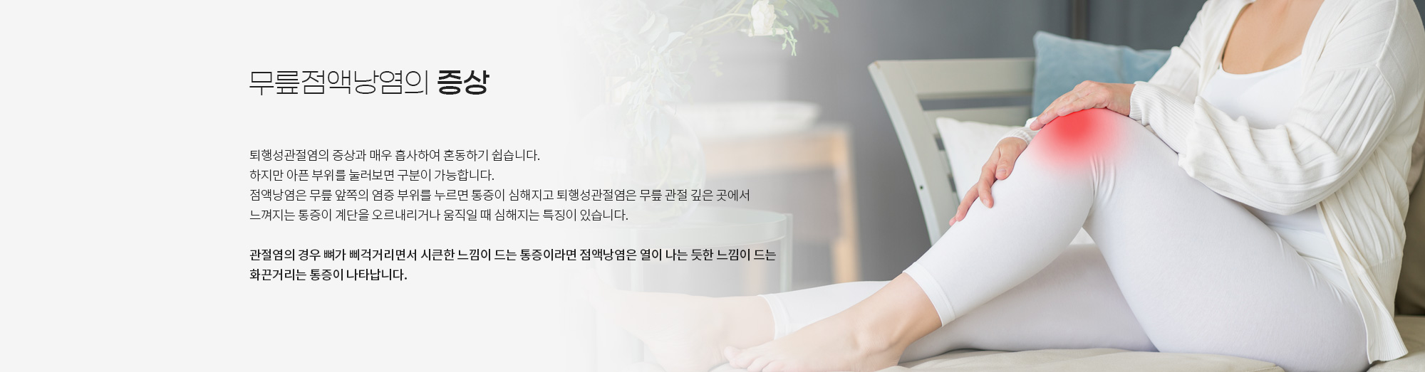 무릎관절 상세 이미지 6