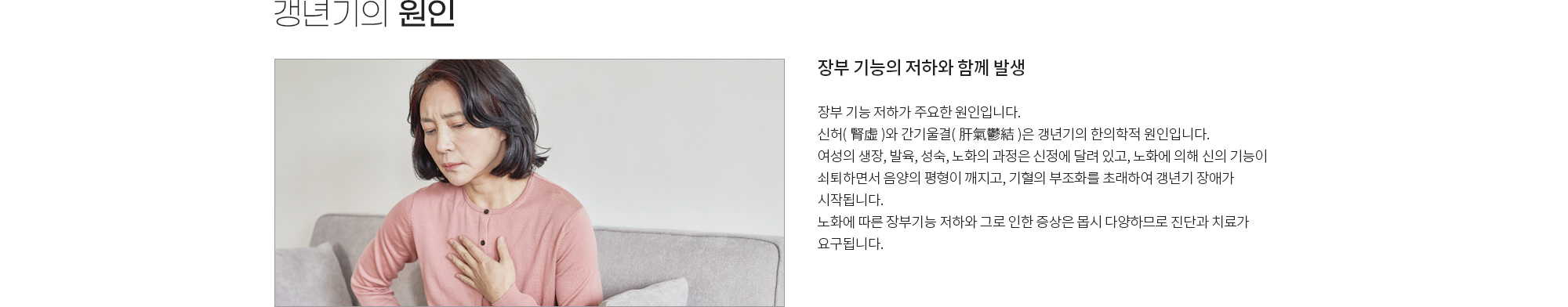 갱년기증후군 상세 이미지 4